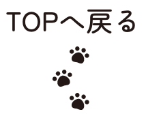 TOPへ戻る